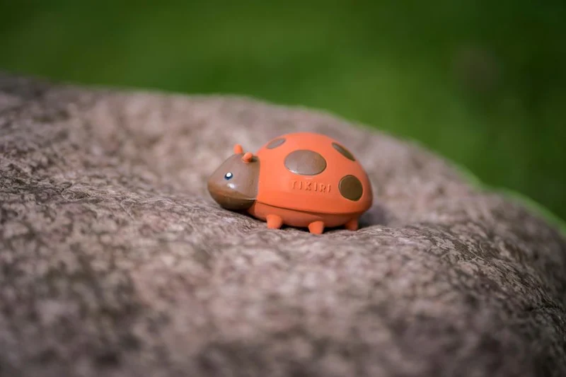Mon Premier Animal du Jardin – Coccinelle