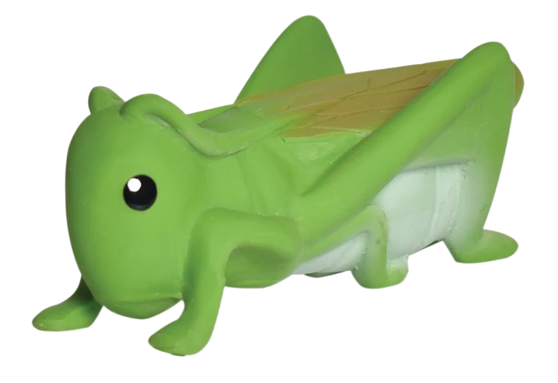 Mon Premier Animal du Jardin – Sauterelle