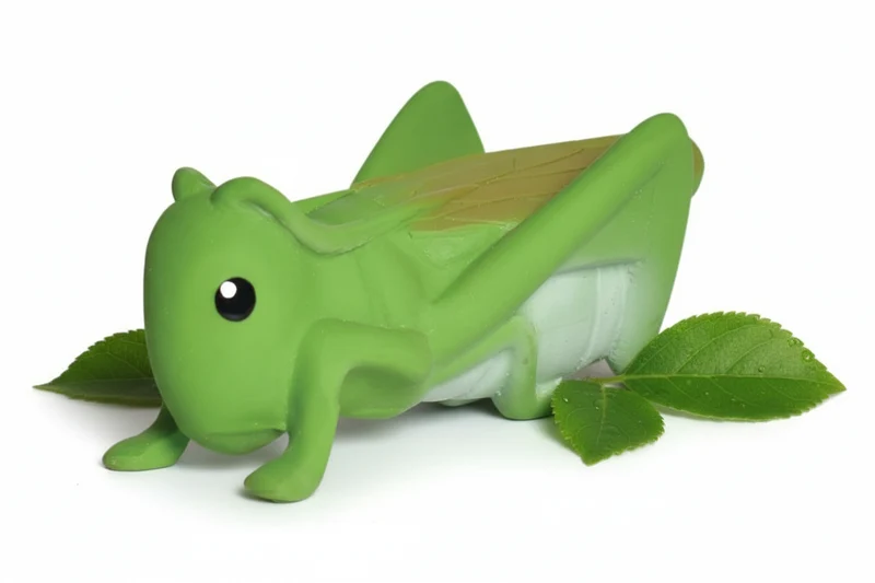 Mon Premier Animal du Jardin – Sauterelle