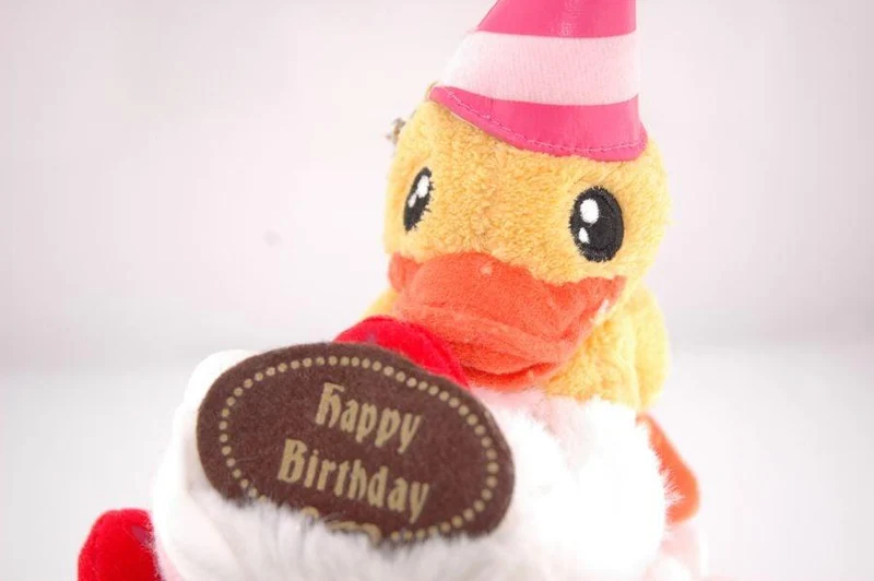 Boite Canard Joyeux Anniversaire